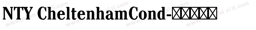 NTY CheltenhamCond字体转换